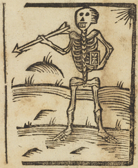 33324-20.jpg