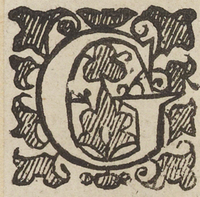 33344-10.jpg