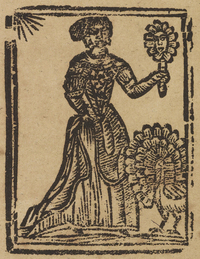 33361-20.jpg
