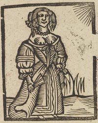 33370-20.jpg