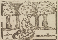 33396-10.jpg