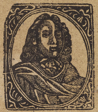 33408-10.jpg
