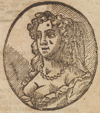 33410-30.jpg