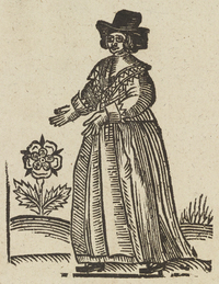 33412-20.jpg