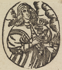 33429-20.jpg