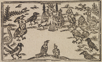 33432-10.jpg