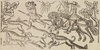 33446-10.jpg