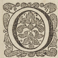 33449-10.jpg