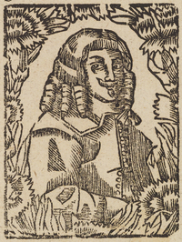 33455-10.jpg
