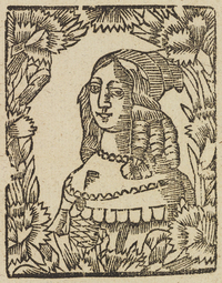 33455-20.jpg