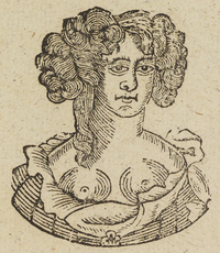 33455-30.jpg