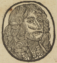 33459-20.jpg