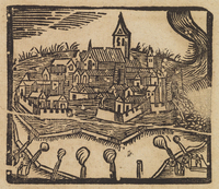 33474-10.jpg