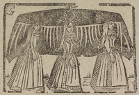 33477-20.jpg