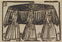 33488-30.jpg