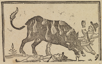 33499-10.jpg