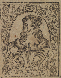 33519-20.jpg