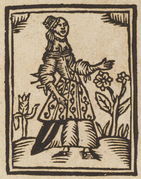 33532-10.jpg