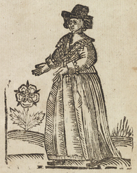 33540-20.jpg