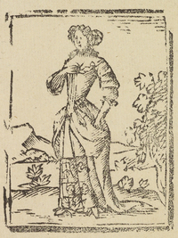 33543-20.jpg