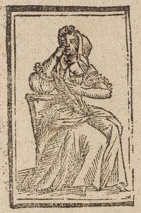 33553-10.jpg