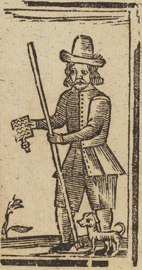 33557-20.jpg
