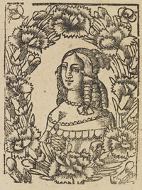 33560-20.jpg
