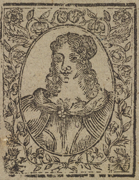 33576-20.jpg