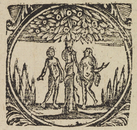 33578-20.jpg