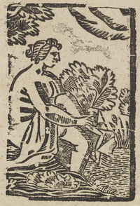 33590-20.jpg