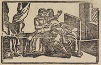 33597-20.jpg