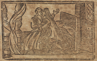 33626-20.jpg