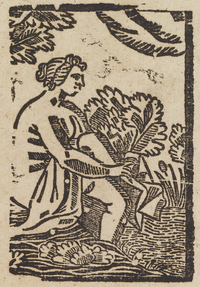 33633-30.jpg