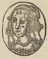 33638-20.jpg