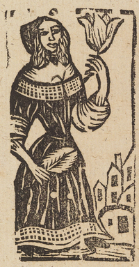 33643-10.jpg