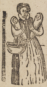 33647-10.jpg