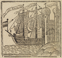 33648-20.jpg