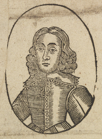33649-10.jpg