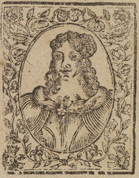 33672-20.jpg