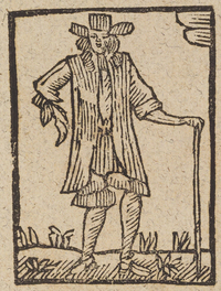 33681-10.jpg