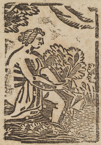 33701-10.jpg