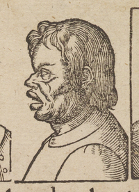 33717-30.jpg