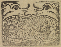 33718-20.jpg
