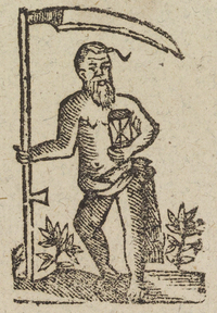 33720-20.jpg
