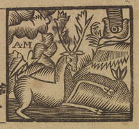 33734-30.jpg