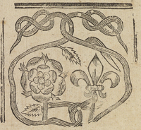33737-20.jpg
