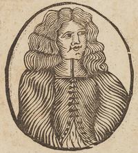 33754-10.jpg