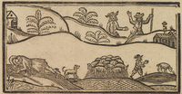 33783-10.jpg