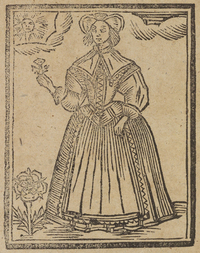 33786-20.jpg