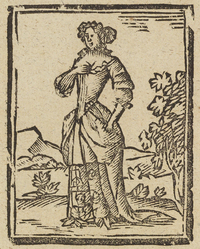33787-20.jpg